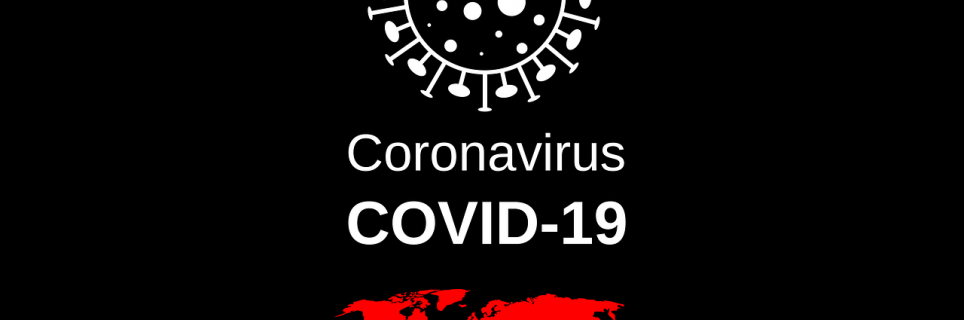 Zarządzanie i bezpieczeństwo  w świetle COVID-19